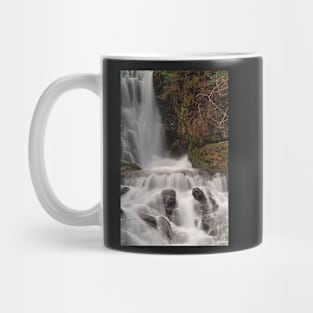 Dickson Falls Mug